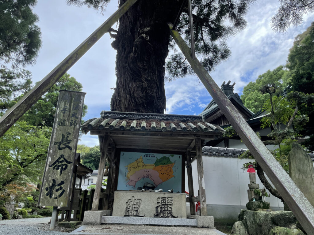 四國遍路第2番極樂寺_長命杉02