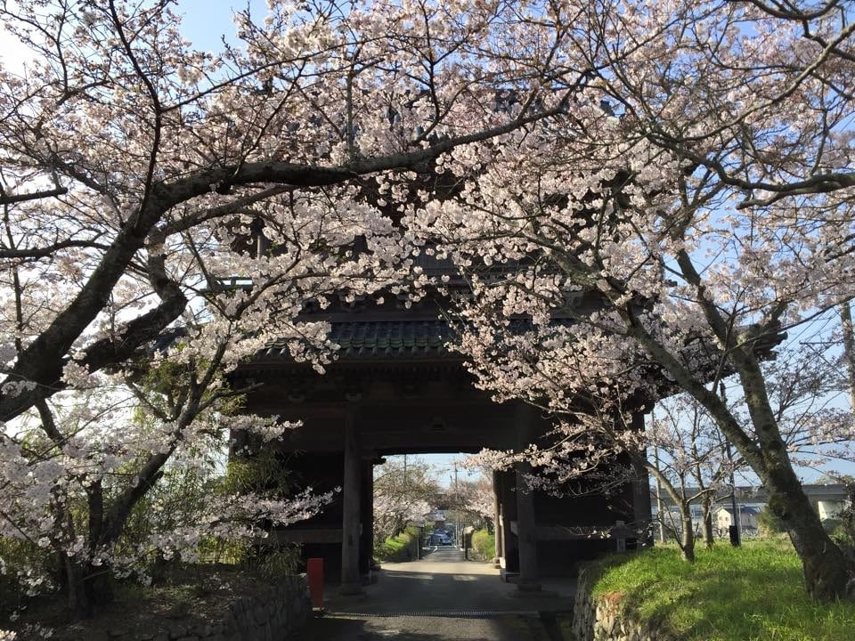 四國遍路第8番熊谷寺_仁王門