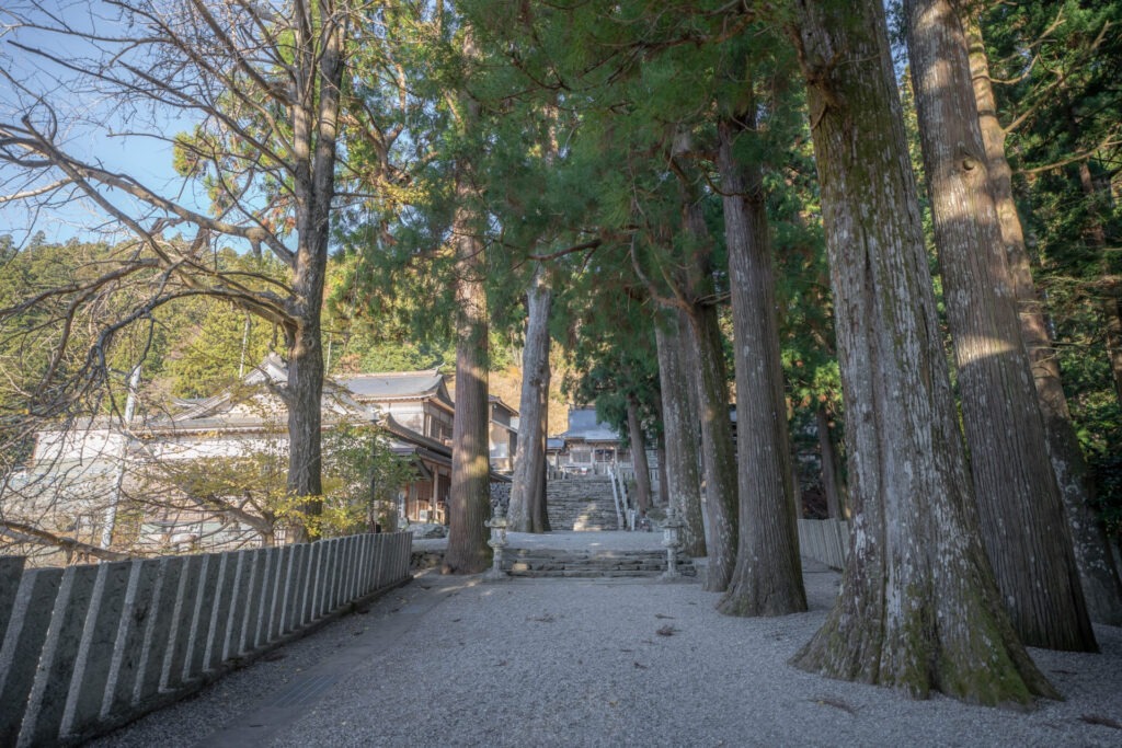 四國遍路第12番燒山寺_境內參天的巨大杉木群