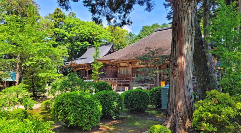 四國遍路第29番國分寺_境內風景