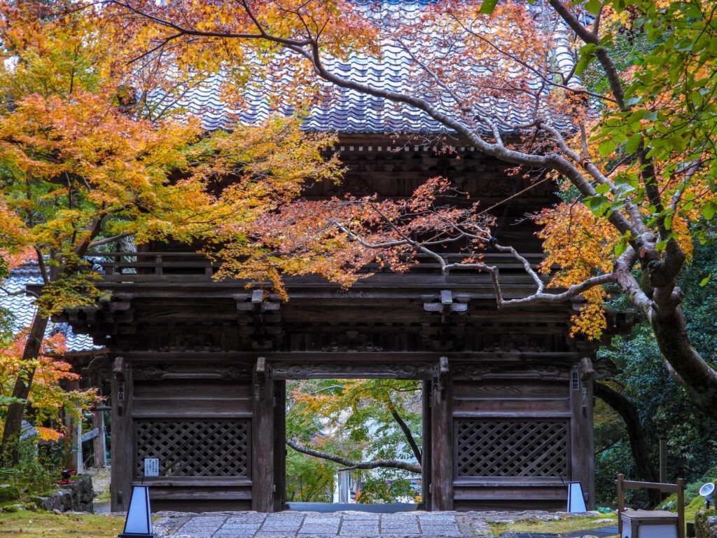 四國遍路第31番竹林寺_楓紅下的山門