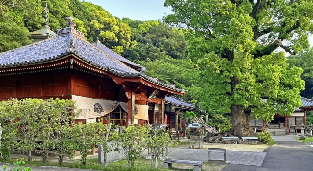 四國遍路第69番觀音寺_寺院境內風景