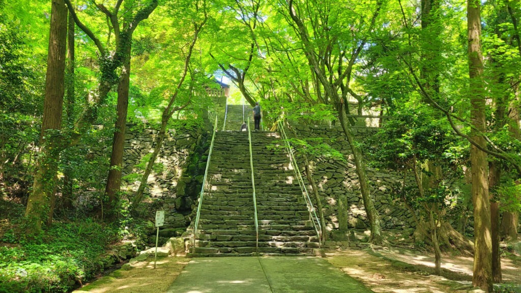 四國遍路第82番根香寺_新綠時期的參道