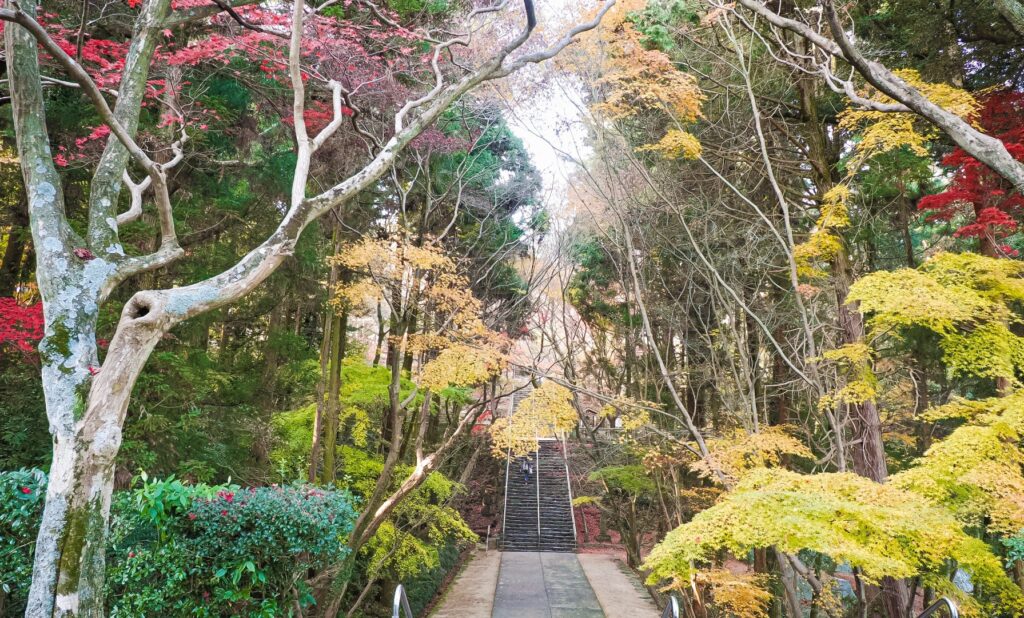 四國遍路第82番根香寺_深秋時期的參道